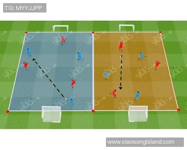 《全面提升足球技巧与战术理解的球星训练教程》