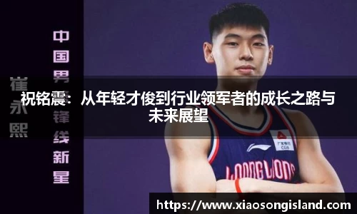 祝铭震：从年轻才俊到行业领军者的成长之路与未来展望