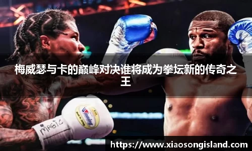梅威瑟与卡的巅峰对决谁将成为拳坛新的传奇之王
