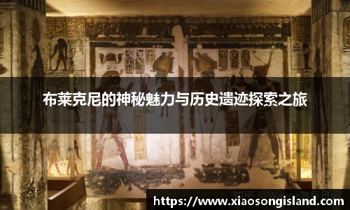 布莱克尼的神秘魅力与历史遗迹探索之旅